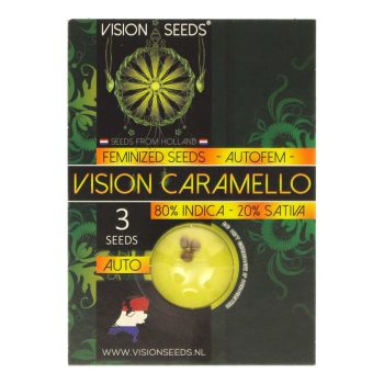 ? Vision Seeds Wietzaadjes Auto VISION CARAMELLO Smartific 2014204/2014203