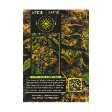 ? Vision Seeds Wietzaadjes Auto VISION CRITICAL Smartific 2014206/2014205