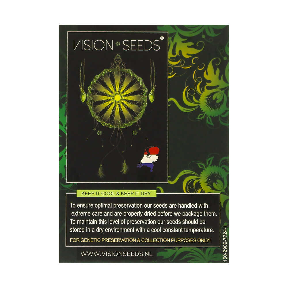 ? Vision Seeds Wietzaadjes Auto VISION GELATO Smartific 2014208/2014207