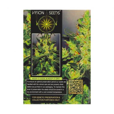 ? Vision Seeds Wietzaadjes Auto VISION JACK Smartific 2014212/2014211
