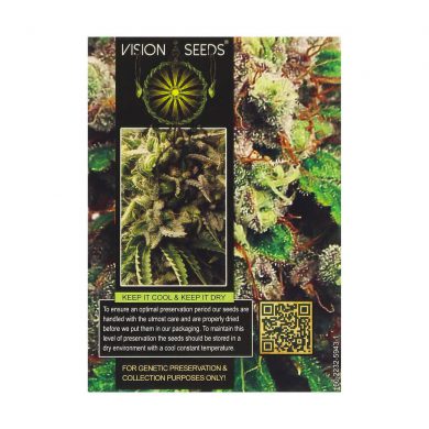 ? Vision Seeds Wietzaadjes Auto VISION KUSH Smartific 2014214/2014213