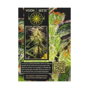 ? Vision Seeds Gefeminiseerd Wietzaadjes CHEESE Smartific 2014234/2014233
