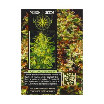 ? Vision Seeds Gefeminiseerd Wietzaadjes NY DIESEL Smartific 2014260/2014259