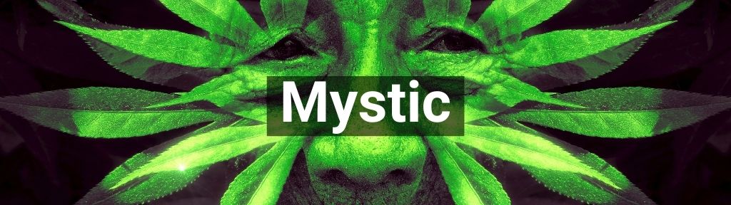 ✅ Alle hoge kwaliteit Mystic producten van Smartific.nl