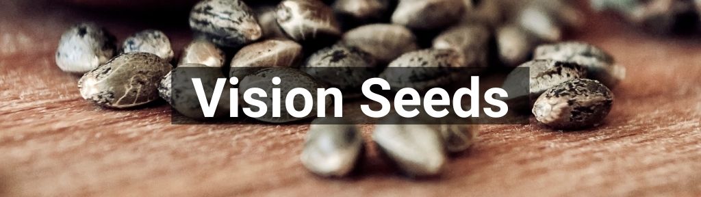 ✅ Alle hoge kwaliteit Vision Seeds producten van Smartific.nl
