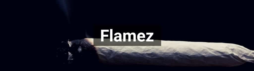 ✅ Alle hoge kwaliteit Flamez producten van Smartific.nl