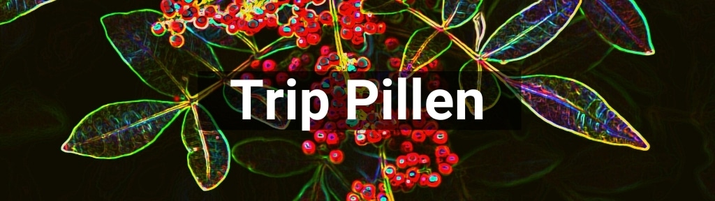✅ Alle hoge kwaliteit Trip pillen producten van Smartific.nl