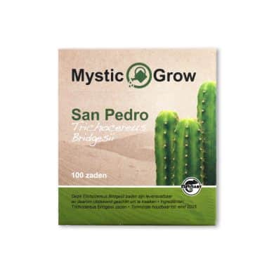 Bridgesii front view McMystic