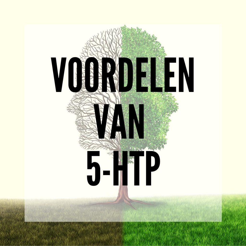 Wat kan 5-HTP voor je doen? - Smartific blog advies thumbnail