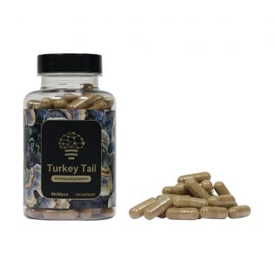 Turkey Tail geneeskrachtige paddenstoelen supplementen kopen Smartific 8718274718300