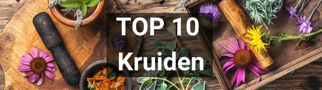 ✅ Top 10 Kruiden van Smartific.nl