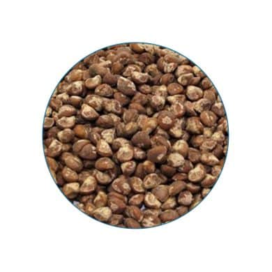 Baby Hawaiian Woodrose 10 seeds contents McMystic