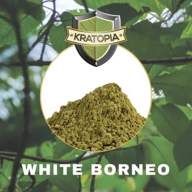 White Borneo Kratom front view + contents Kratopia