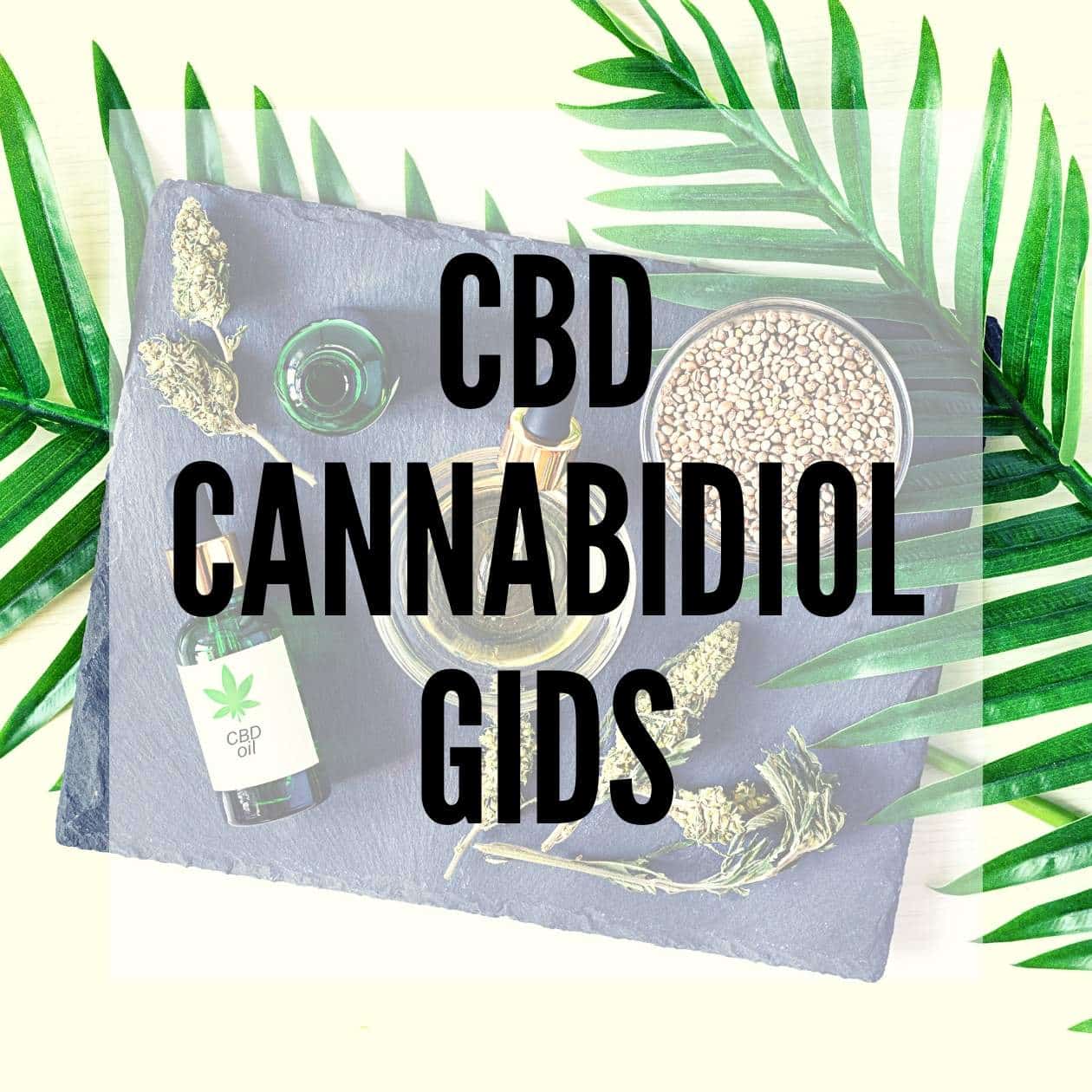 CBD: Alles dat je moet weten over Cannabidiol
