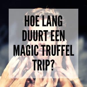 Hoe lang duurt een Magic Truffel trip?
