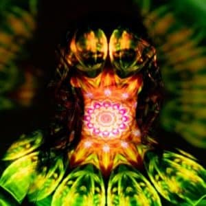 De relatie tussen psychedelische ervaringen en creativiteit