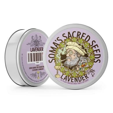 Lavender Soma Sacred Seeds