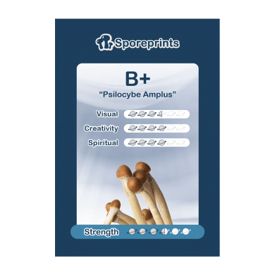 B+ Sporeprint 1