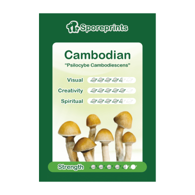 Cambodian Sporeprint 1