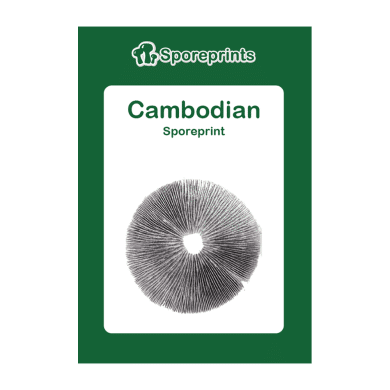 Cambodian Sporeprint 2