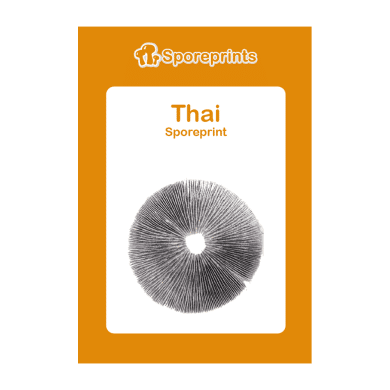 Thai Sporeprint 2