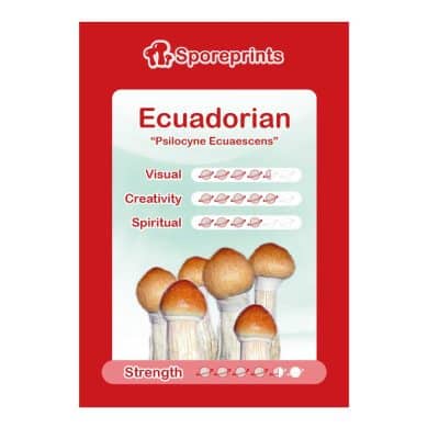 Ecuadorian Sporeprint 1