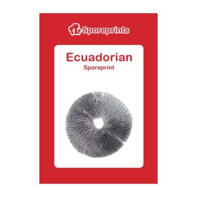 Ecuadorian Sporeprint 2