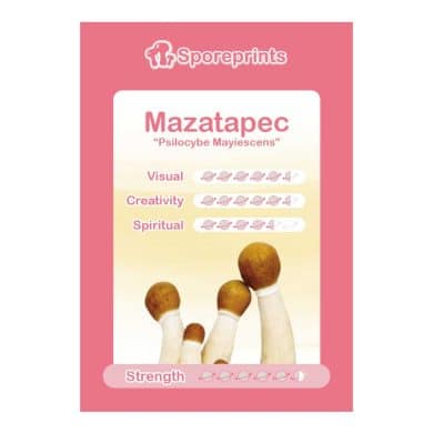 Mazatapec Sporeprint 1