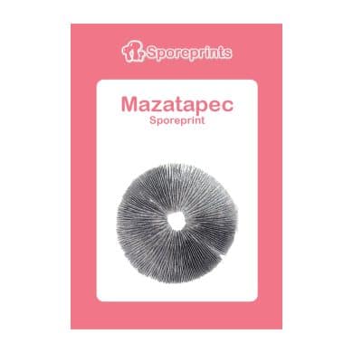 Mazatapec Sporeprint 2