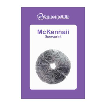 McKennaii Sporeprint 2
