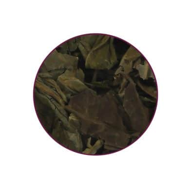 Salvia Divinorum contents